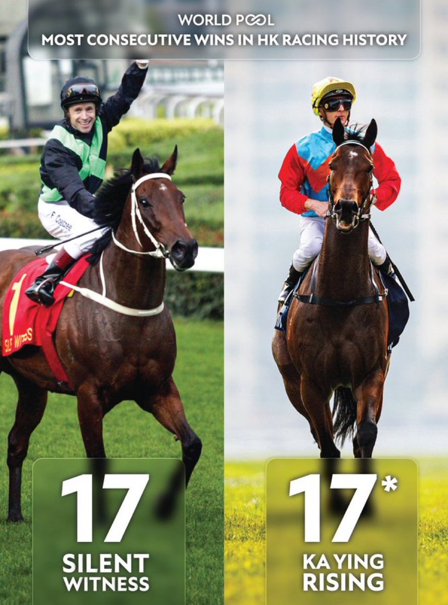 Tbone_Al's tweet photo. Once in a lifetime #KaYingRising #KYR #ShaTin #HKracing https://t.co/4N8mwO5GFA