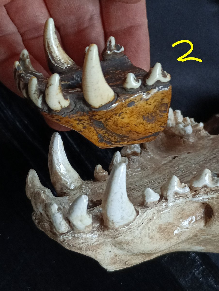 連休だし222（111×2）の日だし、小ネタを 「根付」の一カテゴリーに