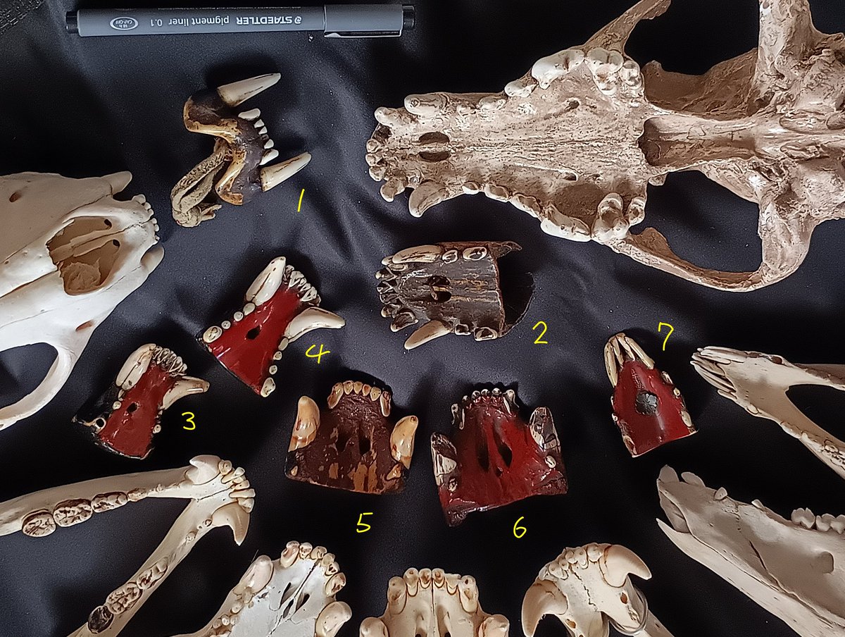 連休だし222（111×2）の日だし、小ネタを 「根付」の一カテゴリーに