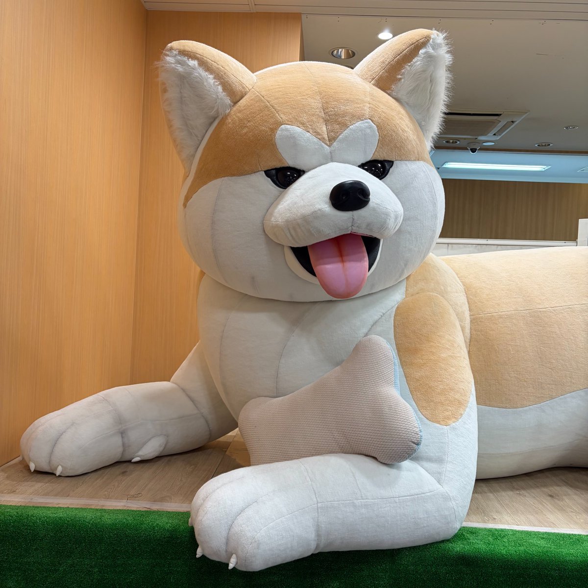 中央線が好きだ。【鉄道編】 tweet media