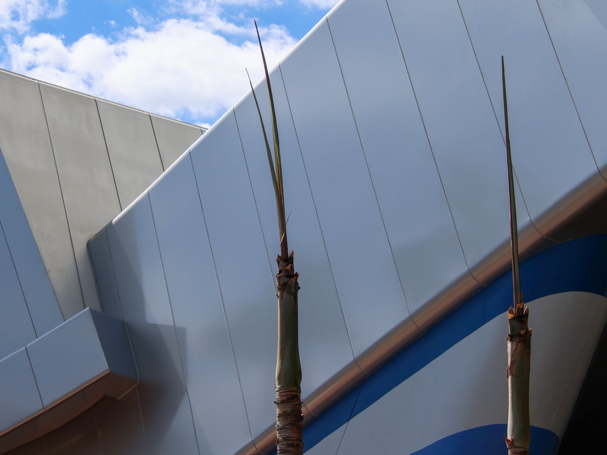 bioreconstruct tweet media