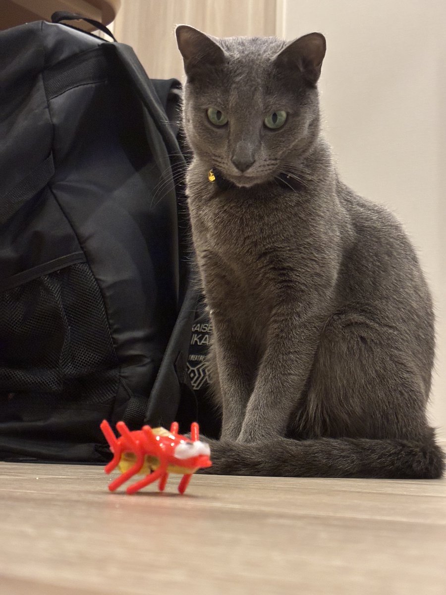 🌟にんべん🌟 tweet media