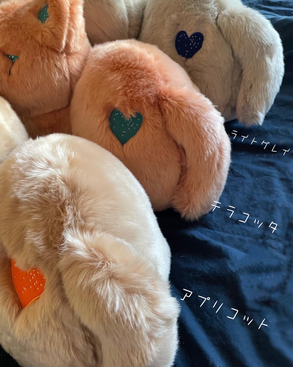 2/22 にゃんにゃんにゃん🐾で 今日は猫の日𓏲𓎨 #リイシューねこちゃん