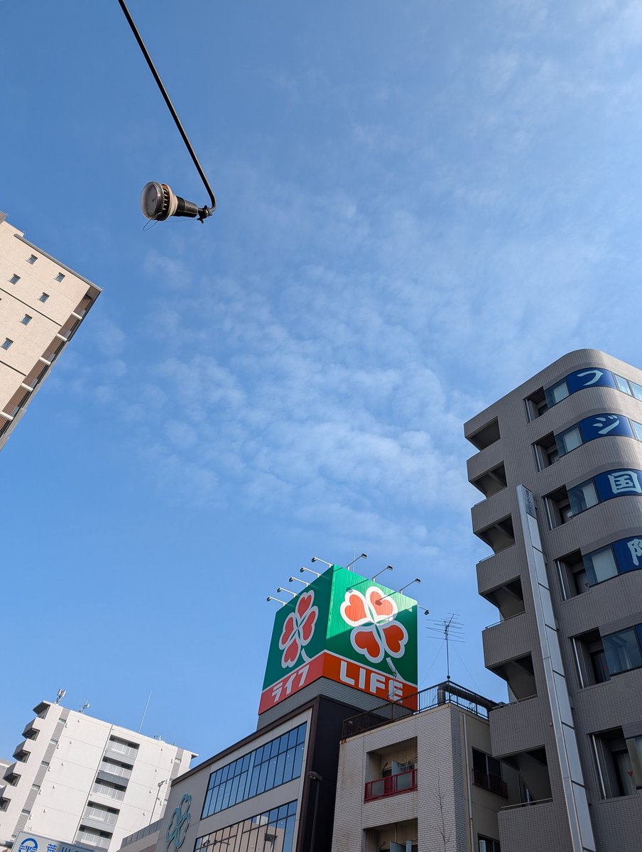 Sevenbird818's tweet photo. おはようございます！
本日も良い天気☀
少し暖かく感じます
花粉の足音がすぐ近くまで来てる事に
日々戦々恐々しながら
今日も1日全力投球！！ https://t.co/zxc3kBsqP8
