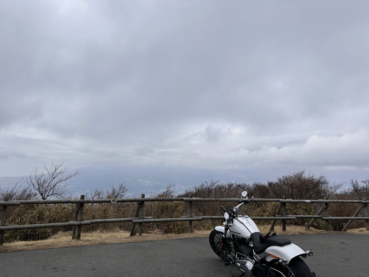 Tulipy_G's tweet photo. クソ曇ってて草も生えない https://t.co/iu8XAVOwGo