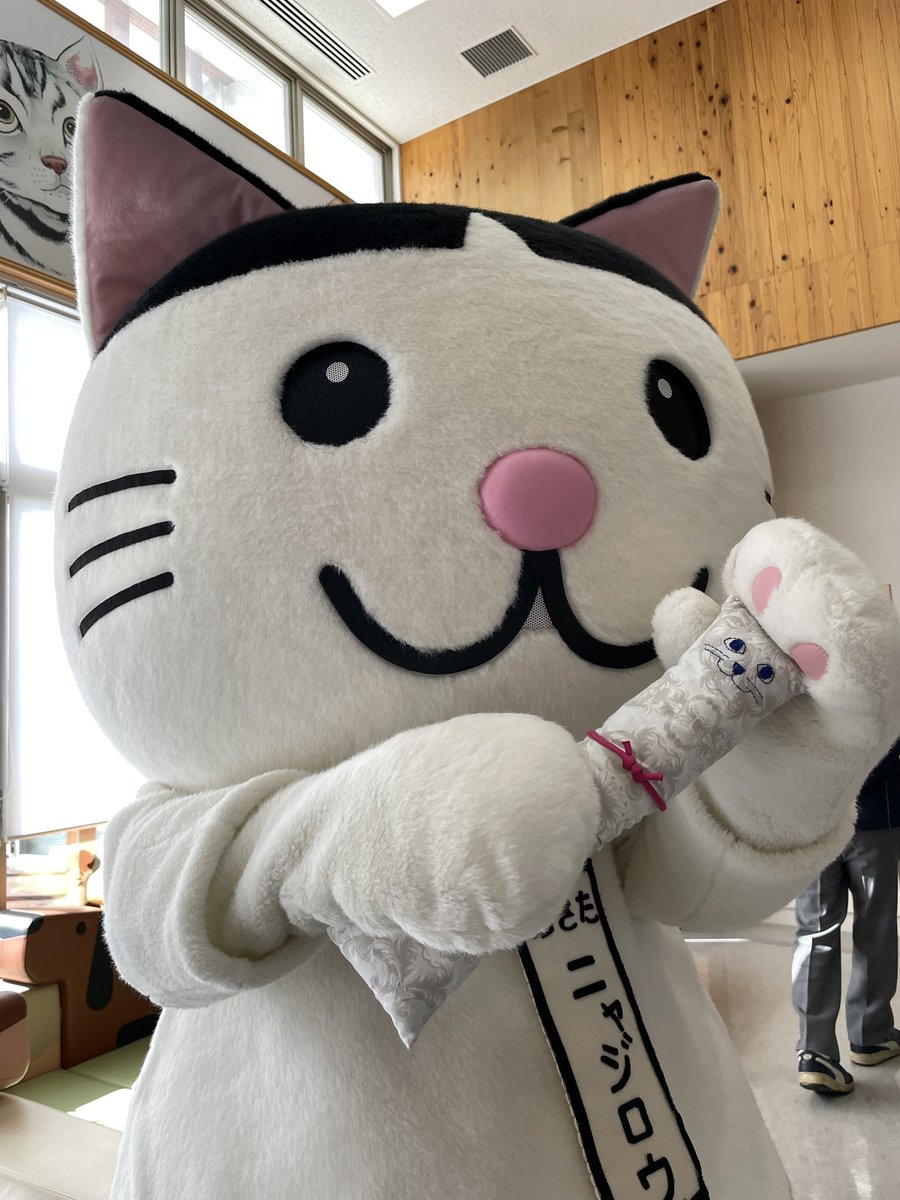∇・)おはにゃーん！今日はワンニャピアあきたに来てるにゃー！猫の日