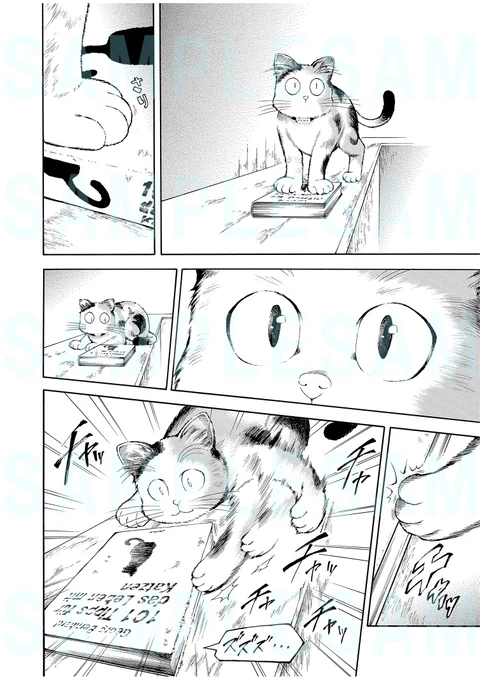 今日は2/22猫の日!🐱
ニャンニャンニャンと!
アンブルのネコ漫画2作品が、クロスフォリオにて明日2月23日11時まで全話無料公開中!
この機会にぜひ読んでみてくださいね!🐱
https://t.co/1bNchLygI9
https://t.co/eoEQF2yNxH
#漫画が読めるハッシュタグ
#猫の日 