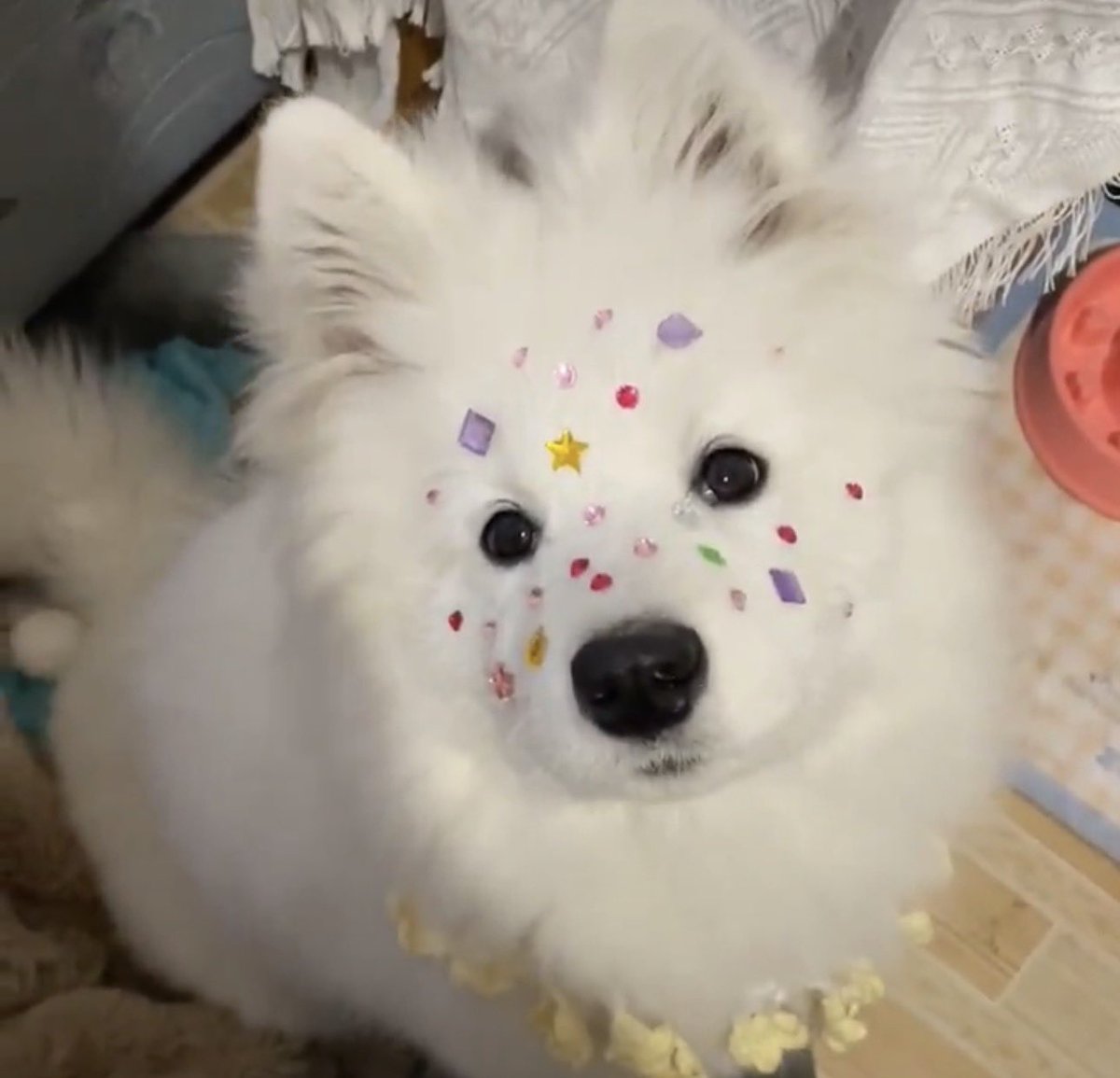 𝙠𝙞𝙞 (@justsbyj) on Twitter photo 