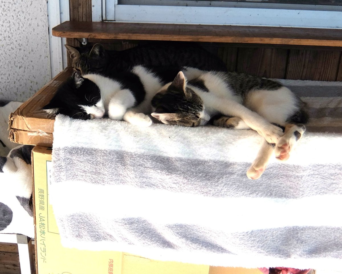 かずまる024 (@kaz_maruru024) / Posts / X