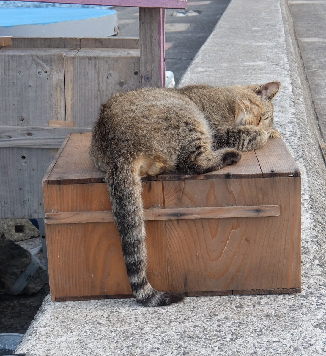 かずまる024 (@kaz_maruru024) / Posts / X