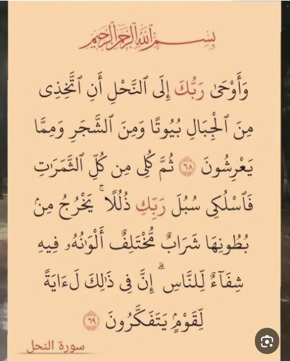 abo1000a1's tweet photo. 🌋ألا تعلم أن للنحلة ثلاثة بطون  لذلك جاء النص القرآني يخرجُ من بطونها ولم يقل يخرج من بطنها... فسبحان  الخالق⬇️ https://t.co/9rb02MwQcM