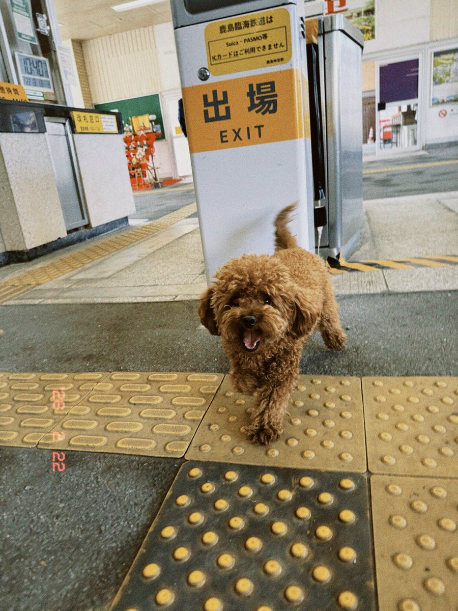 ぬま(もやもや教祖) tweet media