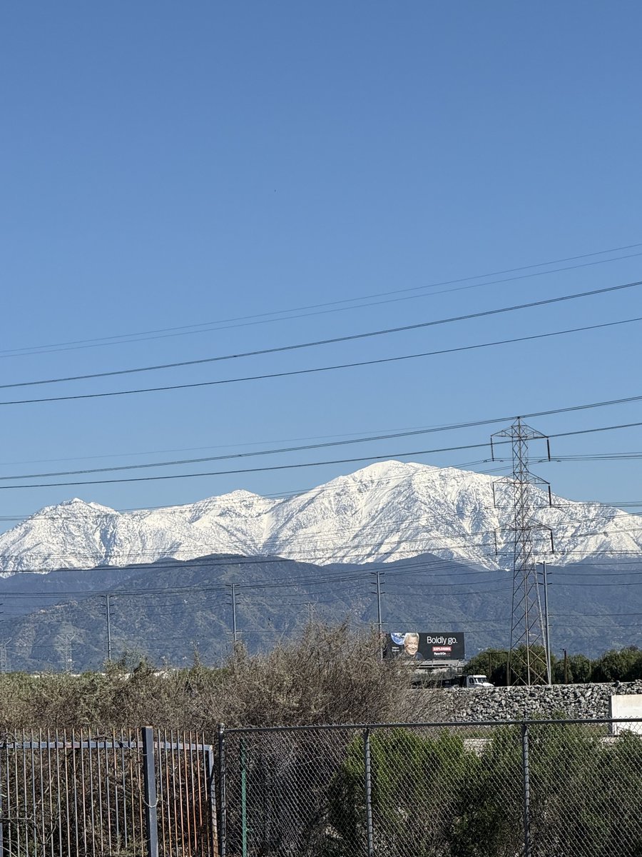 Joe Trietsch tweet media