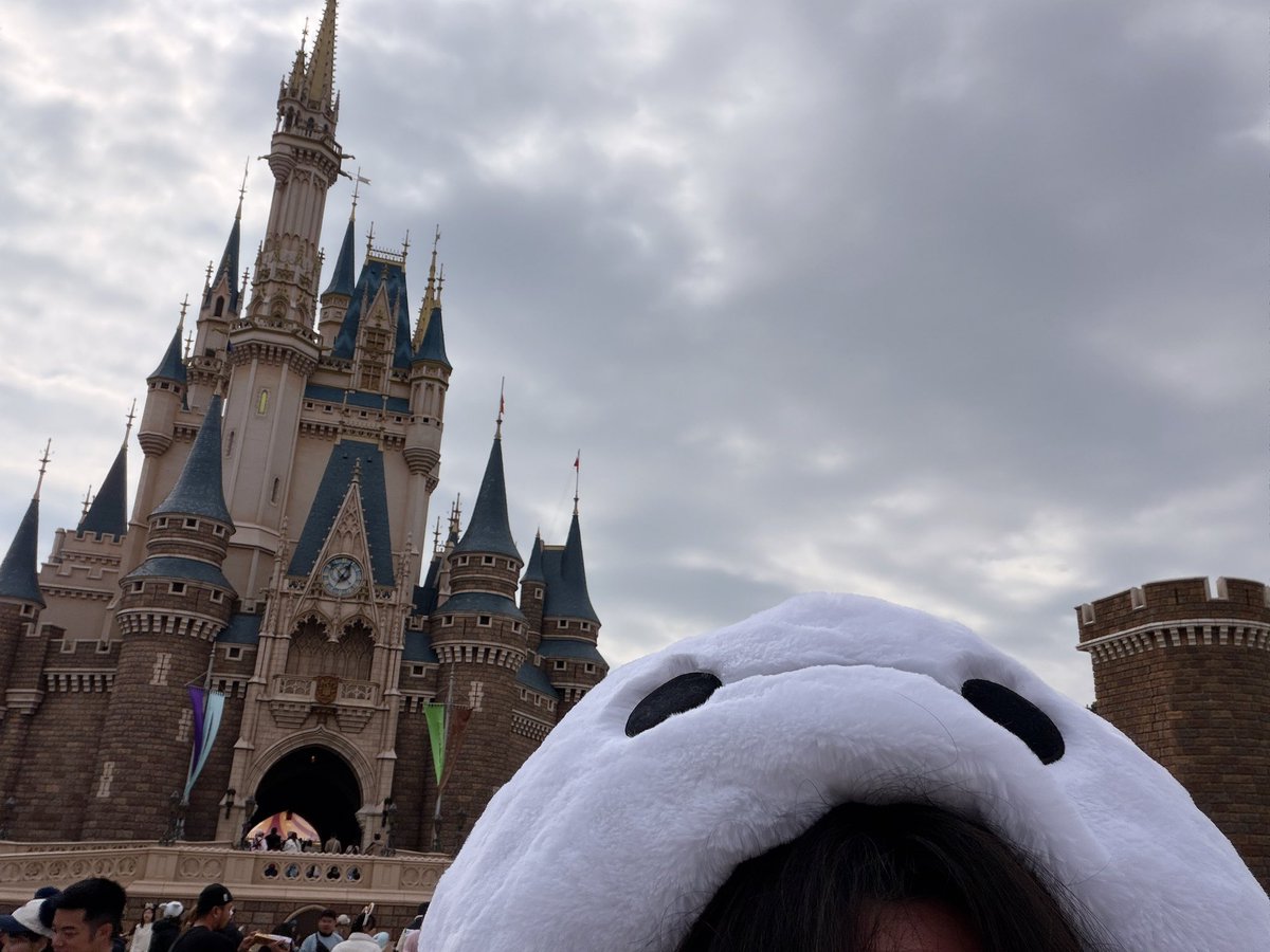 Post by ぽこ🍁 on X: 激混みディズニー