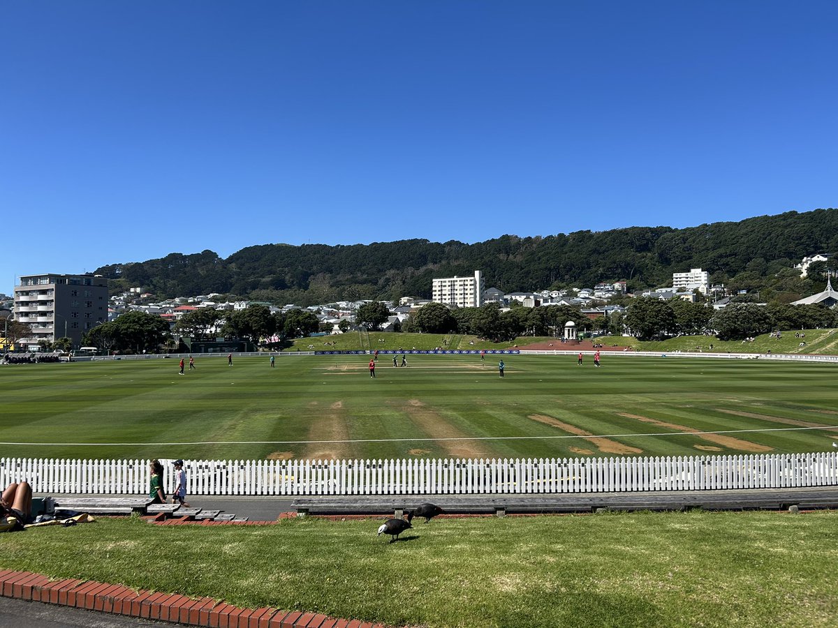 Cello Basin Reserve tweet media