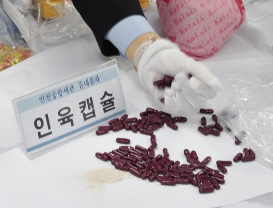 韓国で摘発された「人肉カプセル」…８３％が中国から持ち込み

２０１６年から昨年までの６年間に旅行者携帯品で摘発された人肉カプセルは１０６５錠（６件）に達した。

人肉カプセルは死産した胎児や胎盤を粉末や錠剤にしたもの。

( ˘•ω• ) ※２０２２年のニュース

👉️s.japanese.joins.com/JArticle/29603…