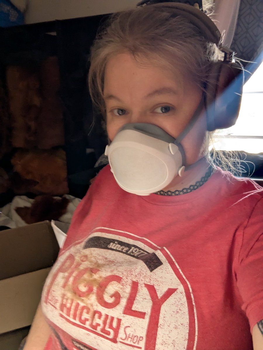 AnthroAesthetic 🔜TFF🔜 AC🔜Denfur? tweet media