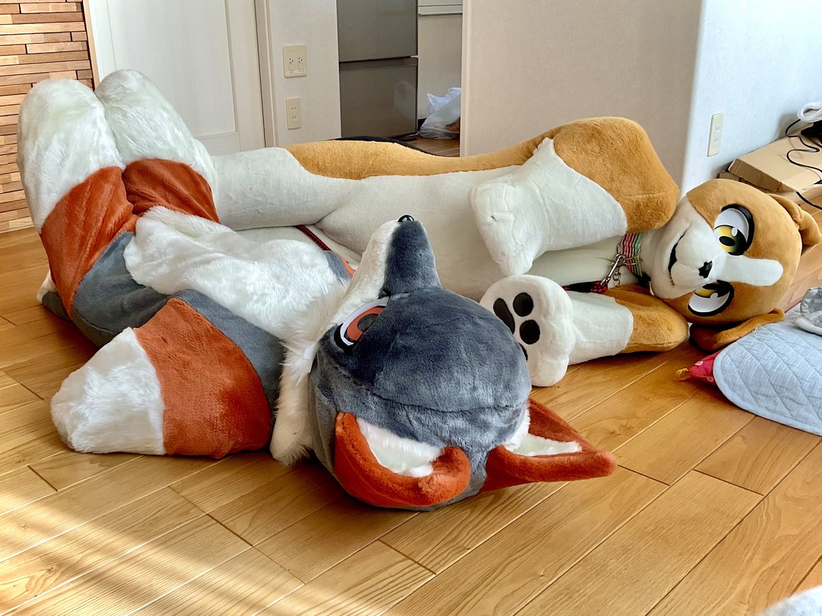 ケンジ (@KenZWorkZ) / Posts / X