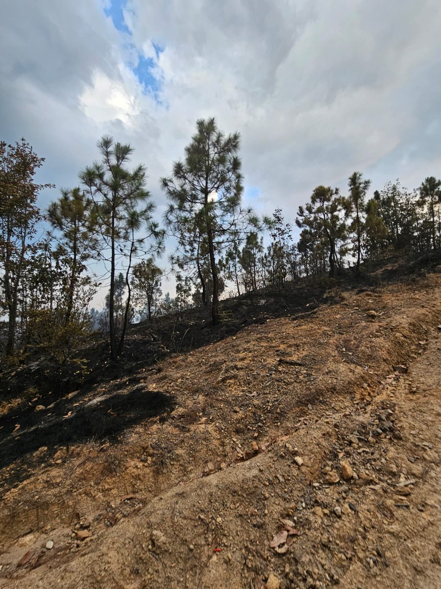 ConredGuatemala's tweet photo. #Totonicapán El incendio registrado en barrio Santa Ana, Paraje Pacoxlaj, Momostenango, Totonicapán fue controlado y liquidado en su totalidad por personal de @BVoluntariosGT, comunitarios, #UGAM y la Brigada de Respuesta Inmediata (BRI).
Fotografías: Sistema CONRED. https://t.co/aMXOfUF7PI