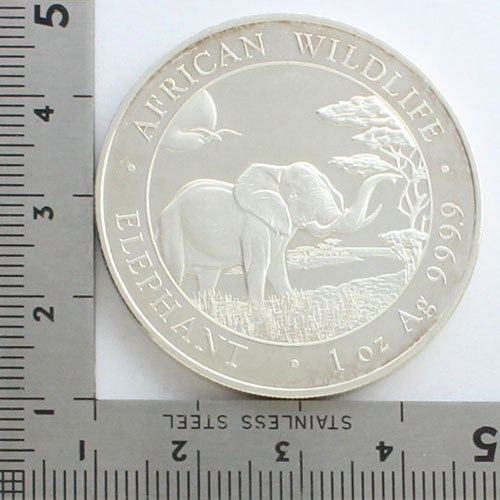 🇸🇴ソマリア 2019年 100シリング銀貨 ゾウ🐘》 造幣都市：ミュンヘン