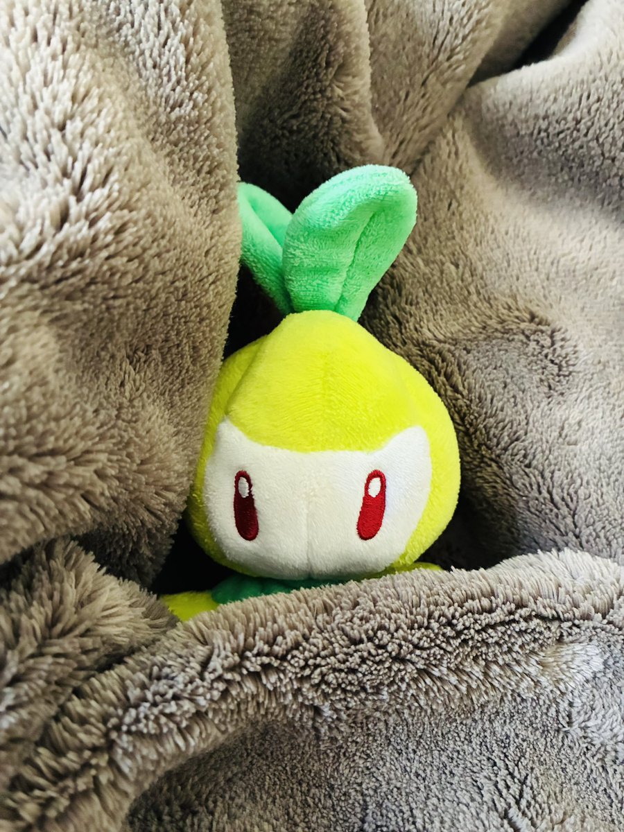 にどねしてた