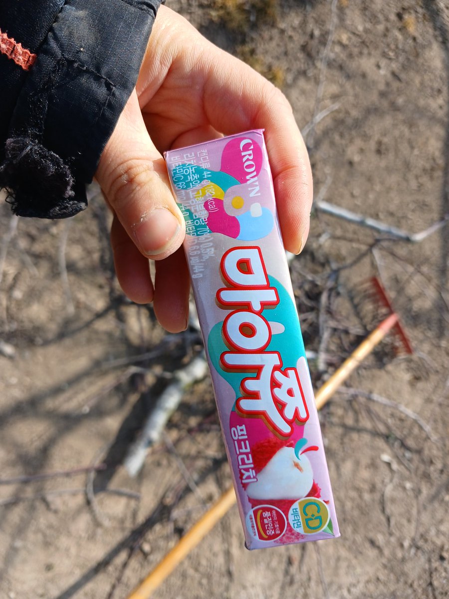 가지치기하는데 따라옴~~~
끌려왔다는게 더 맞낭? 
농삿일틈틈히 간식도 냠냠~
노동요는 2NE1 박수쳐~~~ 👏 👏 👏