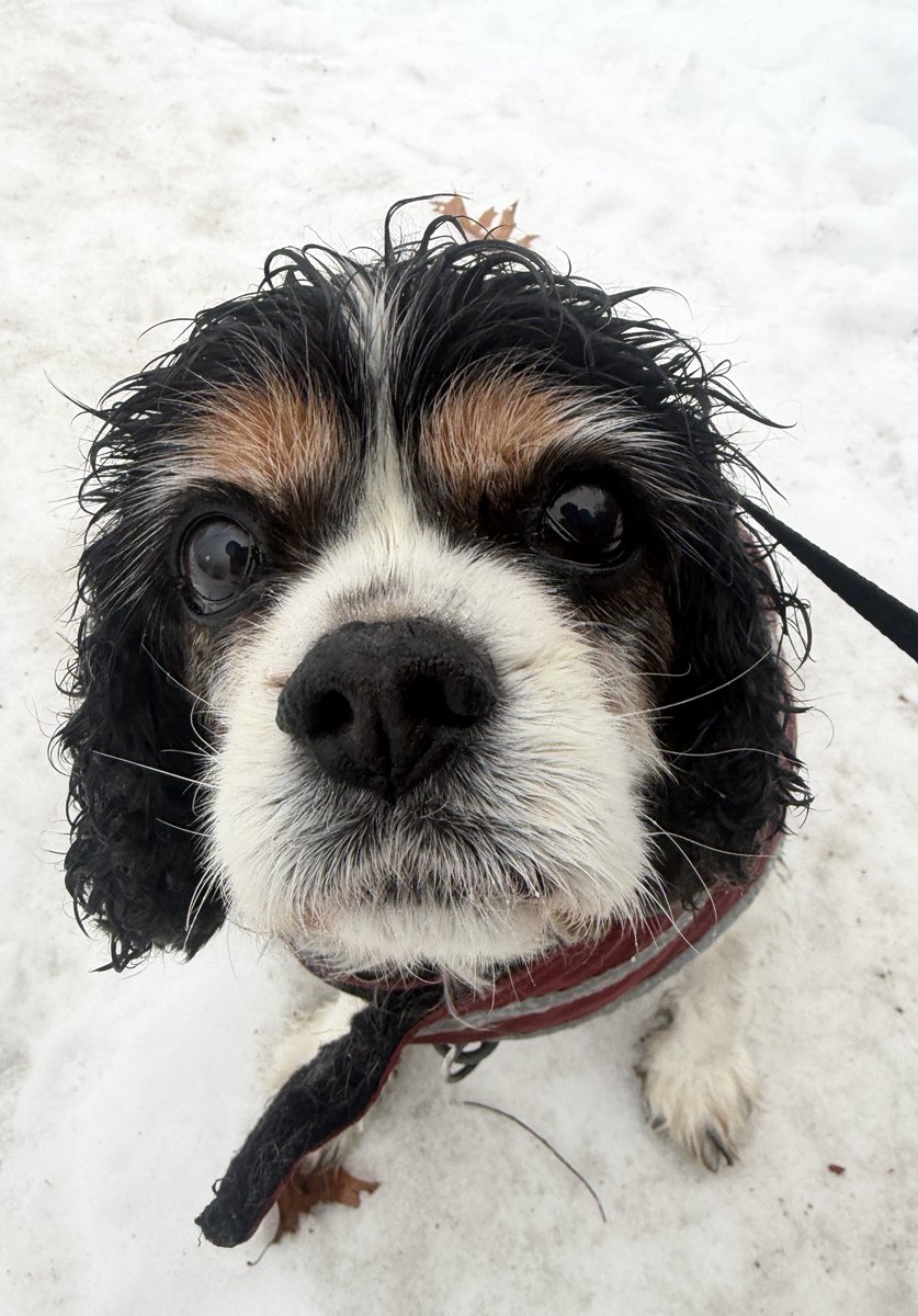 🌈Dexter and Dad tweet media