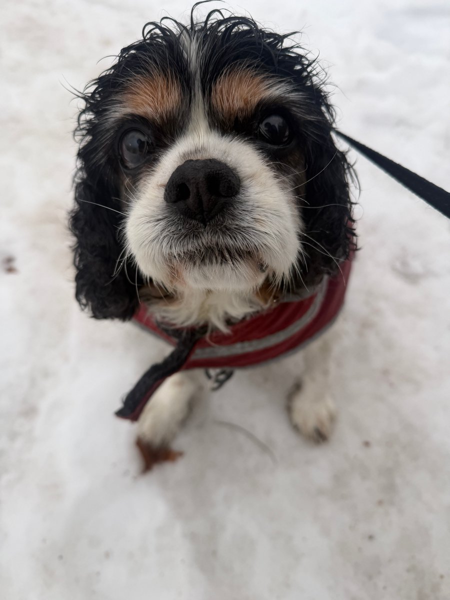 🌈Dexter and Dad tweet media