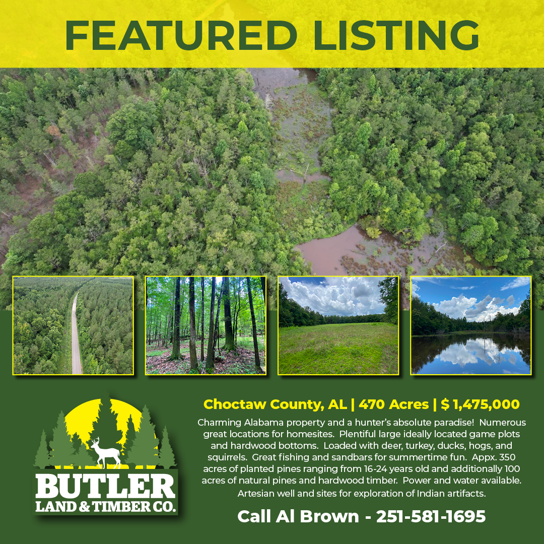 With 470 acres, this tract has it all -- great hunting, amazing homesite spot or hunting camp!

butlerlandandtimber.com/properties/sou…