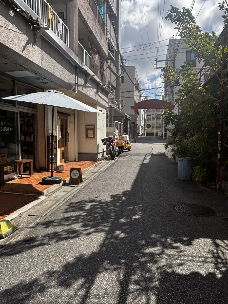 2/22(日)11:00〜19:00営業中です！
いいお天気でお散歩日和ですね〜✨