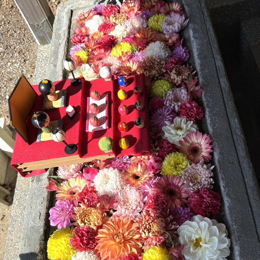 宇佐八幡神社 tweet media