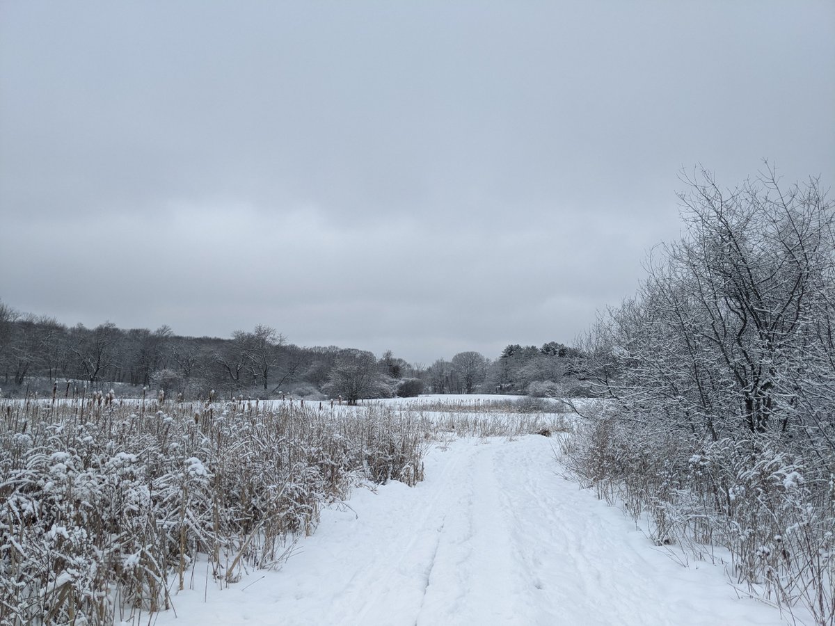 KwanKew's tweet photo. The snow from last night magically coated the landscape. Scenes from peaceful Rock Meadows. @AAWW @Wellesley @WCWnews @WellesleyBooks @poetswritersinc @WomenWriters @Wellesley
@Asianwriter @WritersDigest @McFarlandBooks https://t.co/ebxCsYJSUx