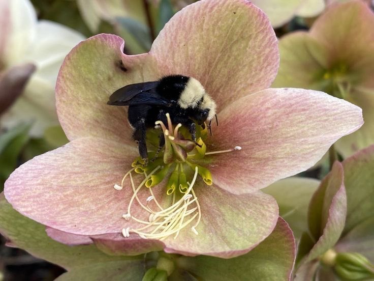 َ (@147luv) on Twitter photo 