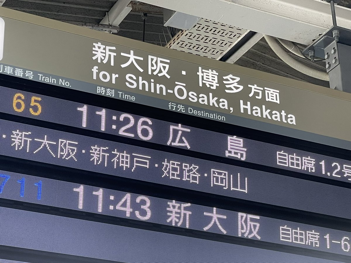 Post by つよ（Tsuyo） on X: みかさん