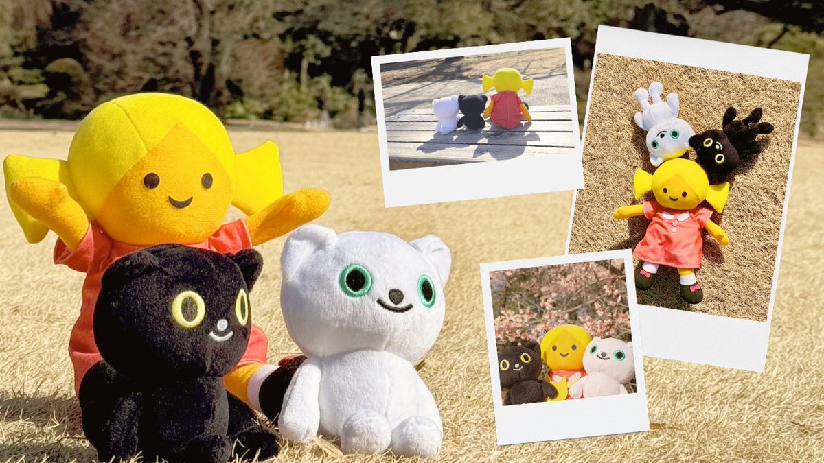 なんとクロネコ・シロネコ(@yamato_19191129) に会えました！✨ お菓子