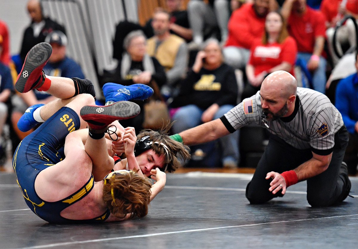 Dawn J. Sagert tweet media