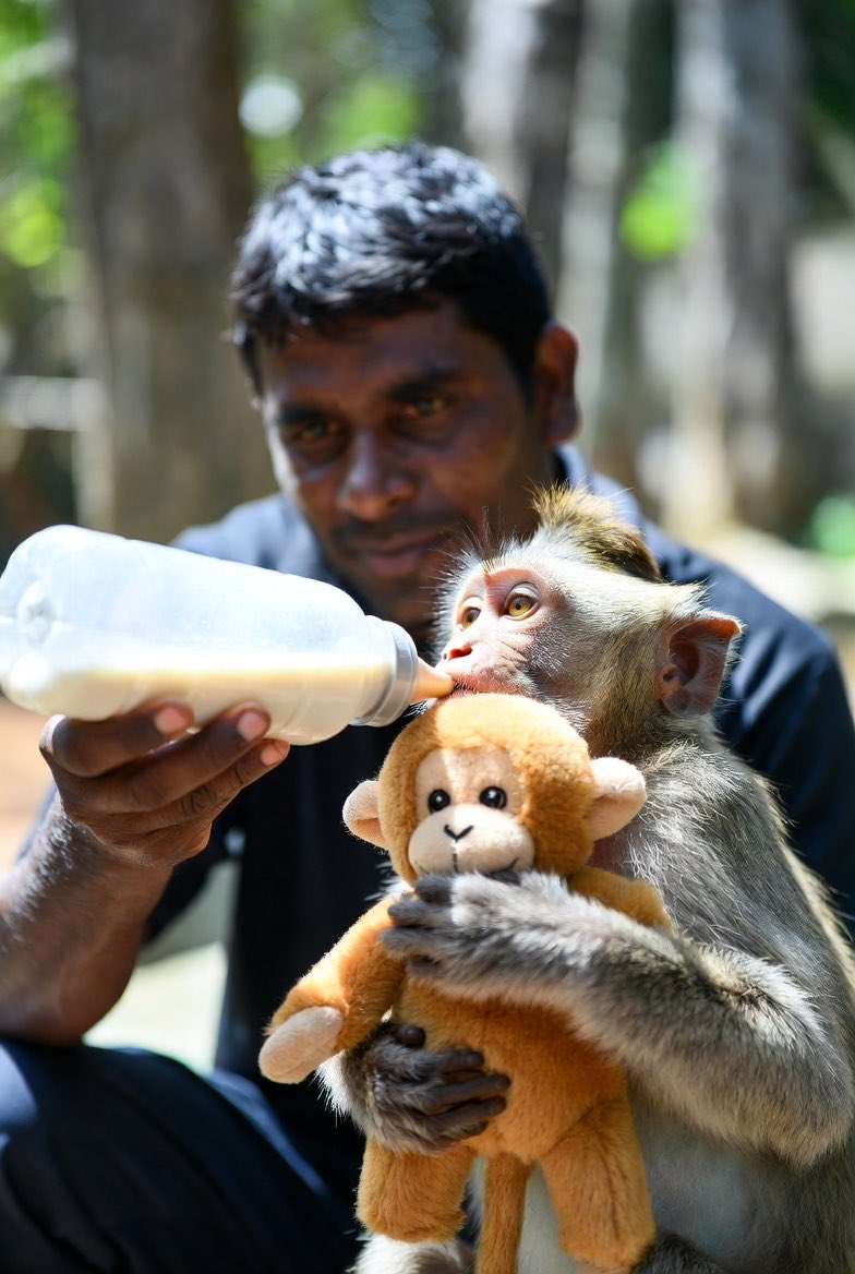 bnice_ish's tweet image. Asked grok to make a photo of me bottle feeding Punch and this is the result…….Grok, you did me wrong, you did me wrong😔#Punch #GrokFail