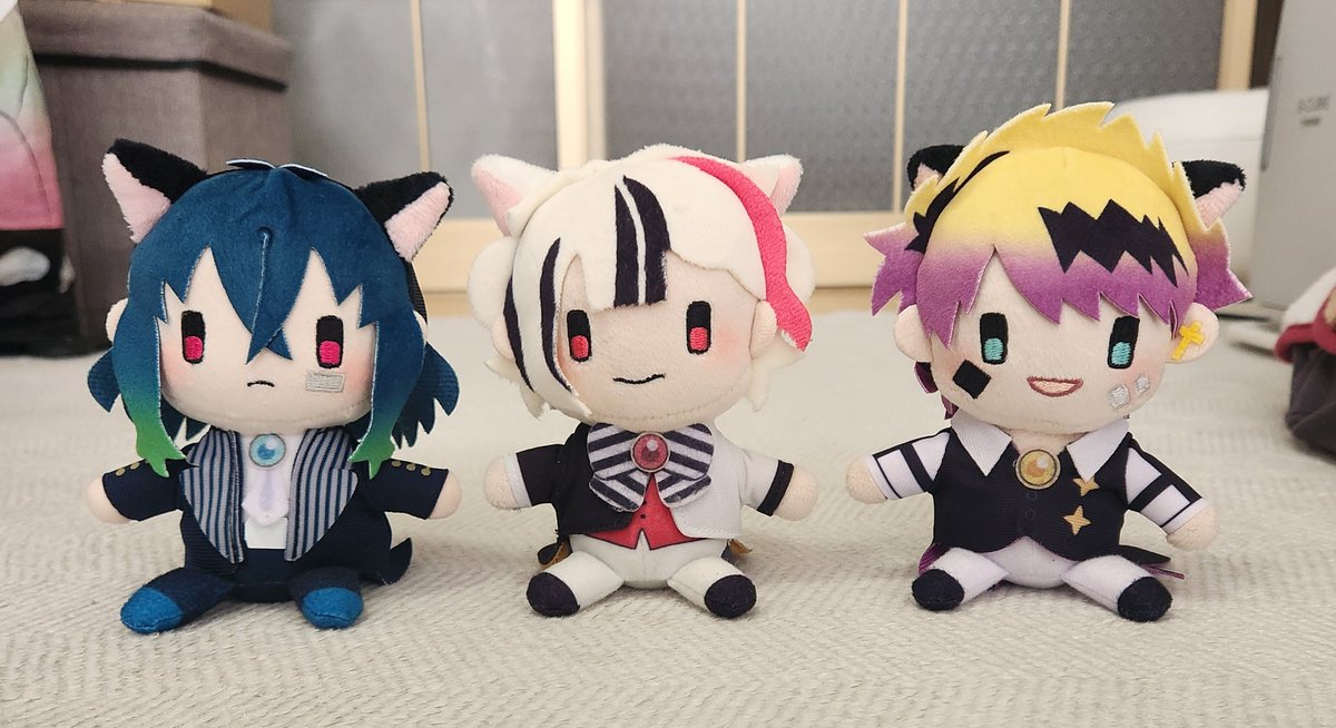 🐱猫の日……？ 🐑｢にゃー？｣