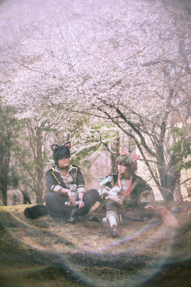 ※Cosplay / 魔法使いの約束

猫まどろむ静穏の木漏れ日で

————————————
Faust：＠aporochoco_non 
Lennox：<a href="/kai_motizuki/">望月戒@自撮りは3秒と見せかけた5秒</a> 
Photo：<a href="/sieste_tyrant/">小鳥遊ひるね</a> 
Location：#やまなかこす
#ナオコス写真
#まほやく_cos