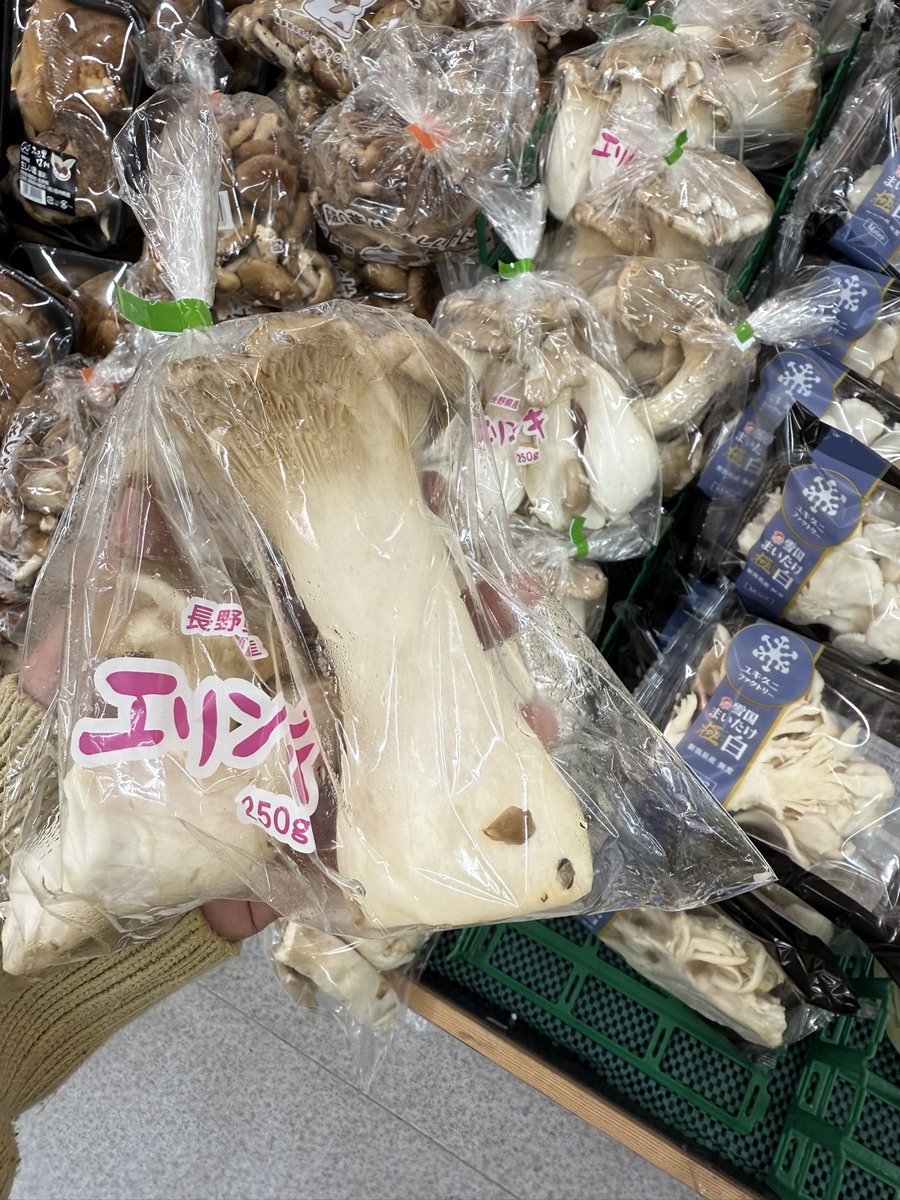 デカすぎ笑った