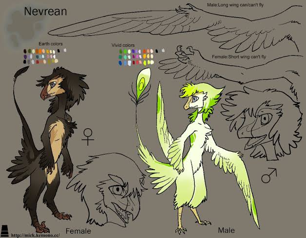 Fan de Kimiko tweet media