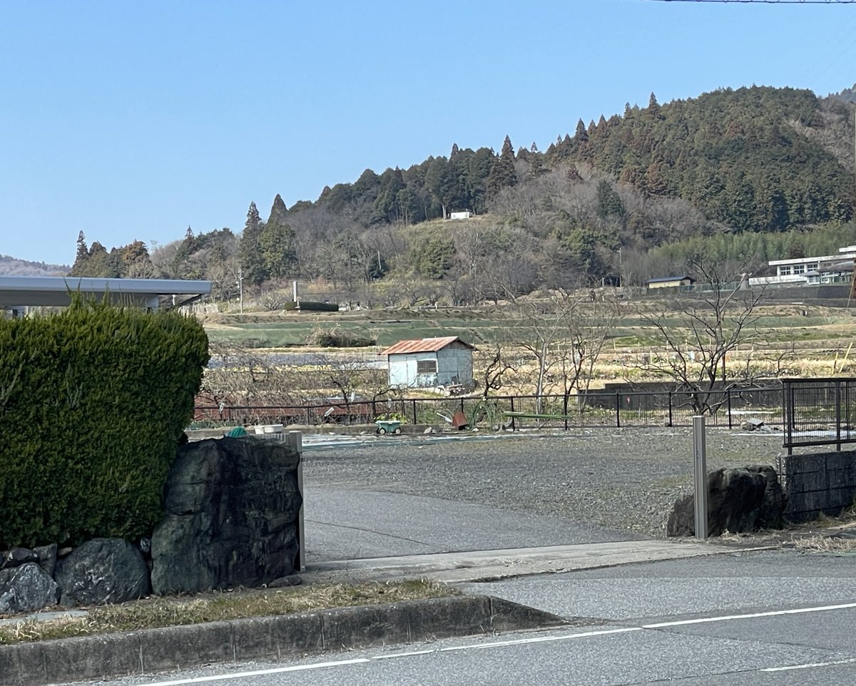 coco_skghr's tweet photo. 皆さまこんにちはー本日の関ケ原、晴れ！笹尾山の桜が少しずつ灰色の蕾をふくらませてきたような🌸
今日はキュンと酸っぱい関ケ原産の八朔を使用したすっきりゼリーをご用意してお待ちしておりまするー！
なお本日16時までの営業となります、ご了承くださいませ https://t.co/ibzW91rqND