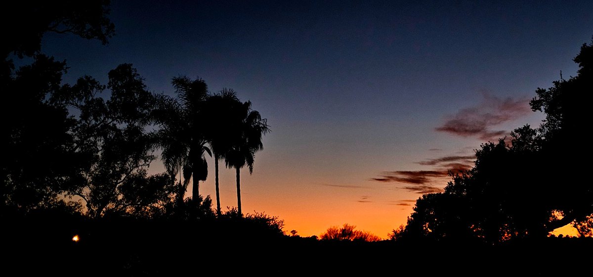 Otalia69's tweet photo. @stwinter84 @Angie_Harmon @DocGiani @crysabatino @JessicaLeccia @mikesabo625 @sashaalexander @ITGirlsStoop @OpenBook_Prod @anothercc @PerfectFeatFilm @venicetheseries Our beautiful #SantaBarbara #sunset...🌅 #SaturdaySunset 🌴 https://t.co/1SOrr79IZR