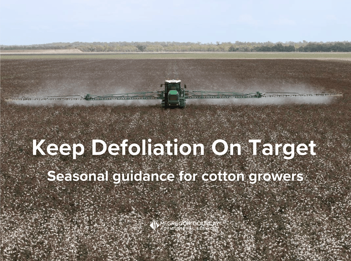 McGregor Gourlay tweet media