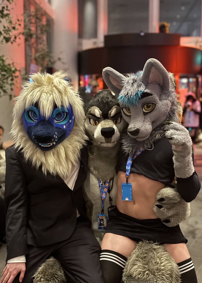 Otis the Space Lion 🔜 Furpile, EF tweet media