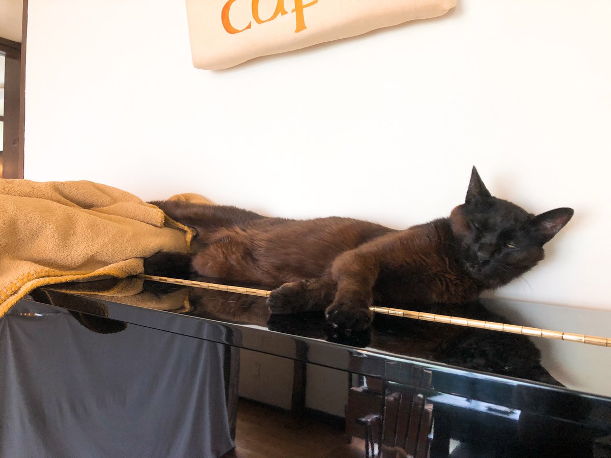 nolla cafe (@nollacafe) on Twitter photo 