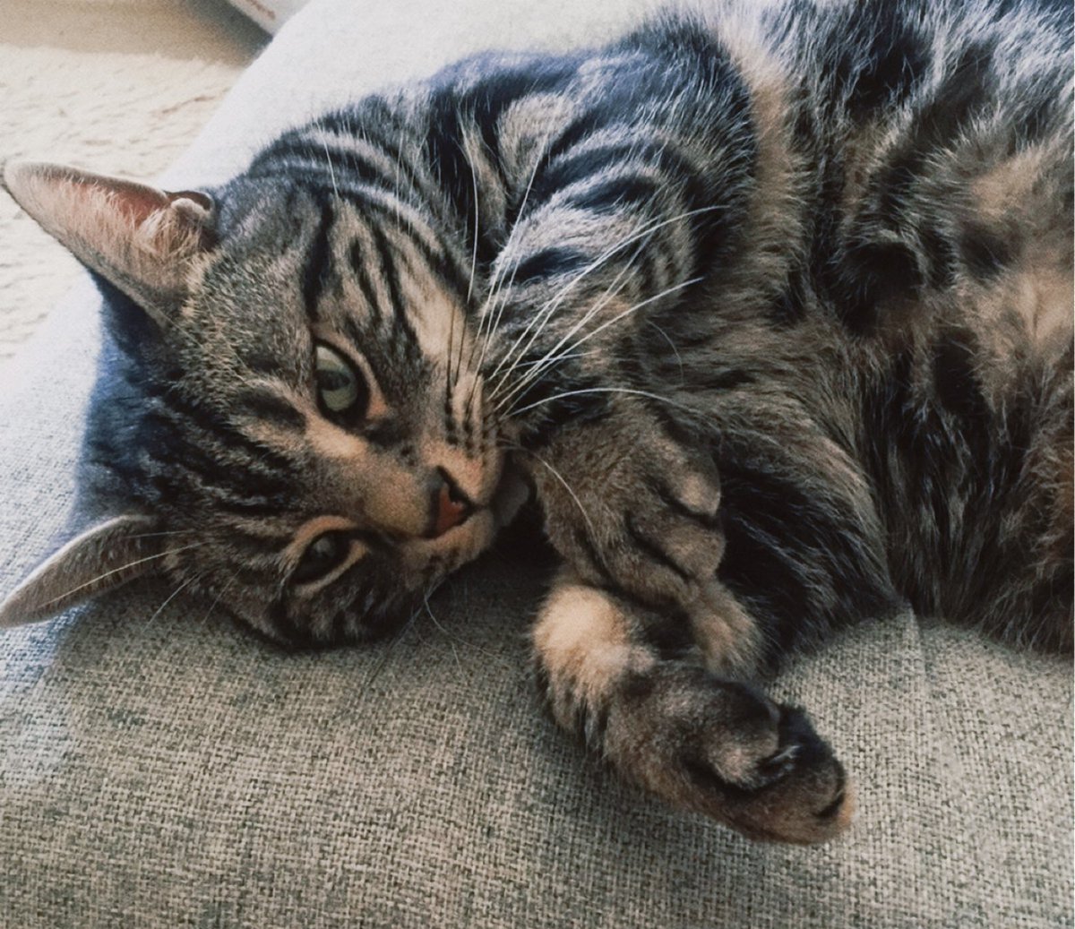 yuu (@yuu872131) / Posts / X