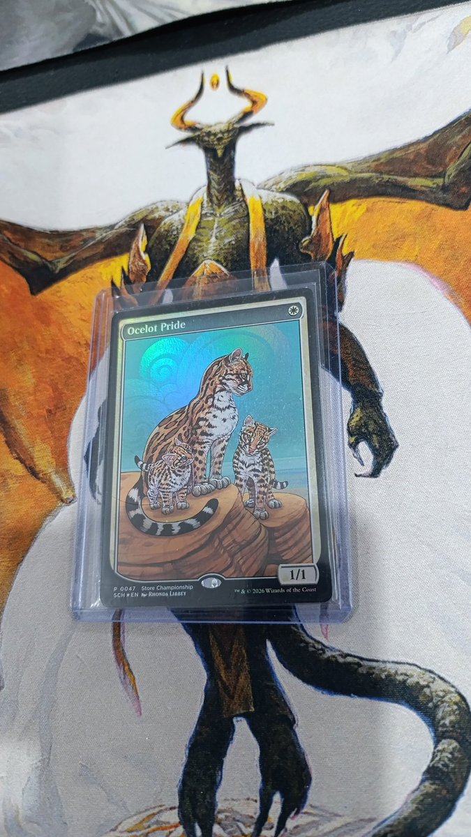 Se logró, store championship.