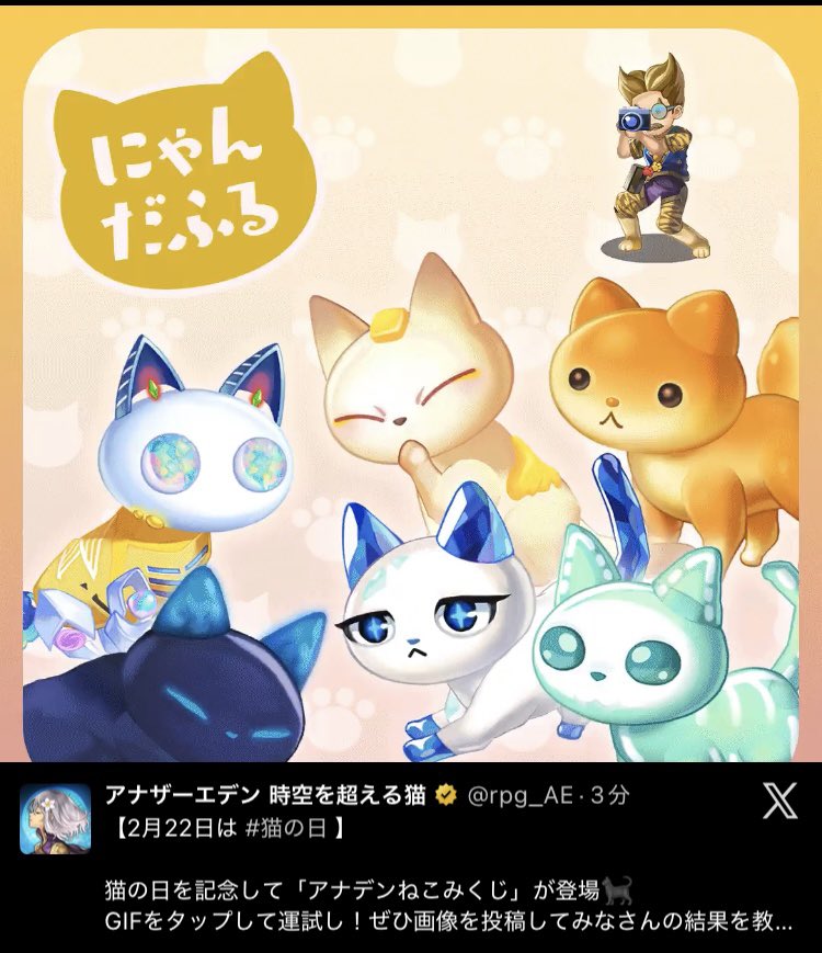 にゃんだふるでした🐱🐾