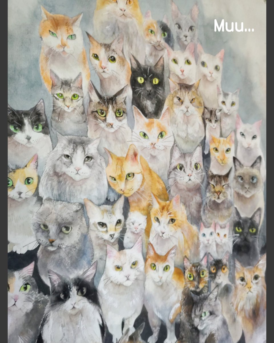 斜めの角度から写真撮っても いい感じやねん。